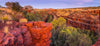 Fresh plants and trees between the two walls of giant mountains having red and orangish color on them, and an effect of the sunlight, Dales Gorge - Karijini, The Pilbara