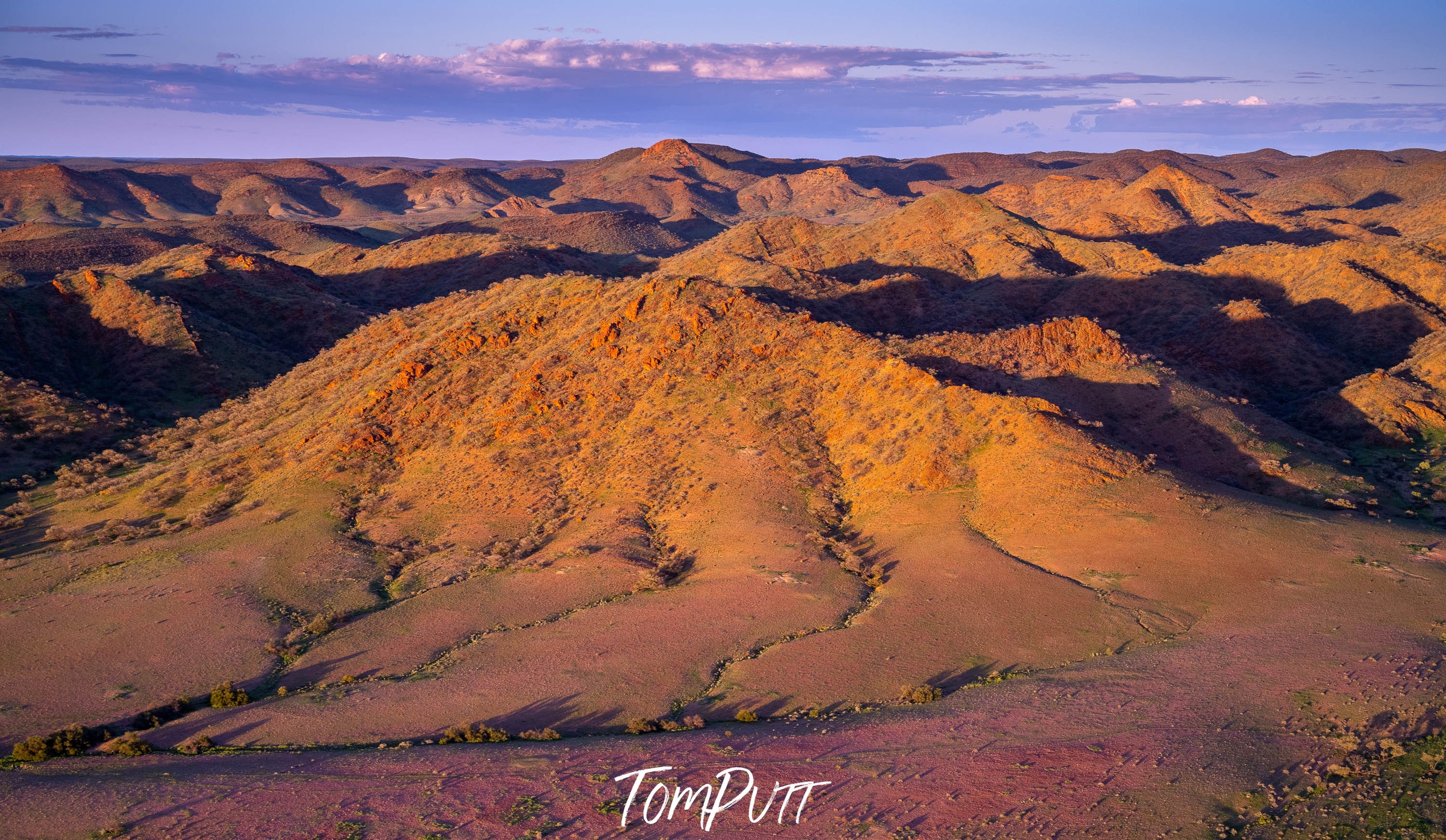 Timeless Beauty, Davenport Ranges, SA