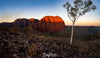 A lot of small stones on the ground with a small tree standing, and a sequence of rocky mounds with partially hitting sunlight, Dawn, Western Wall, Ragged Range