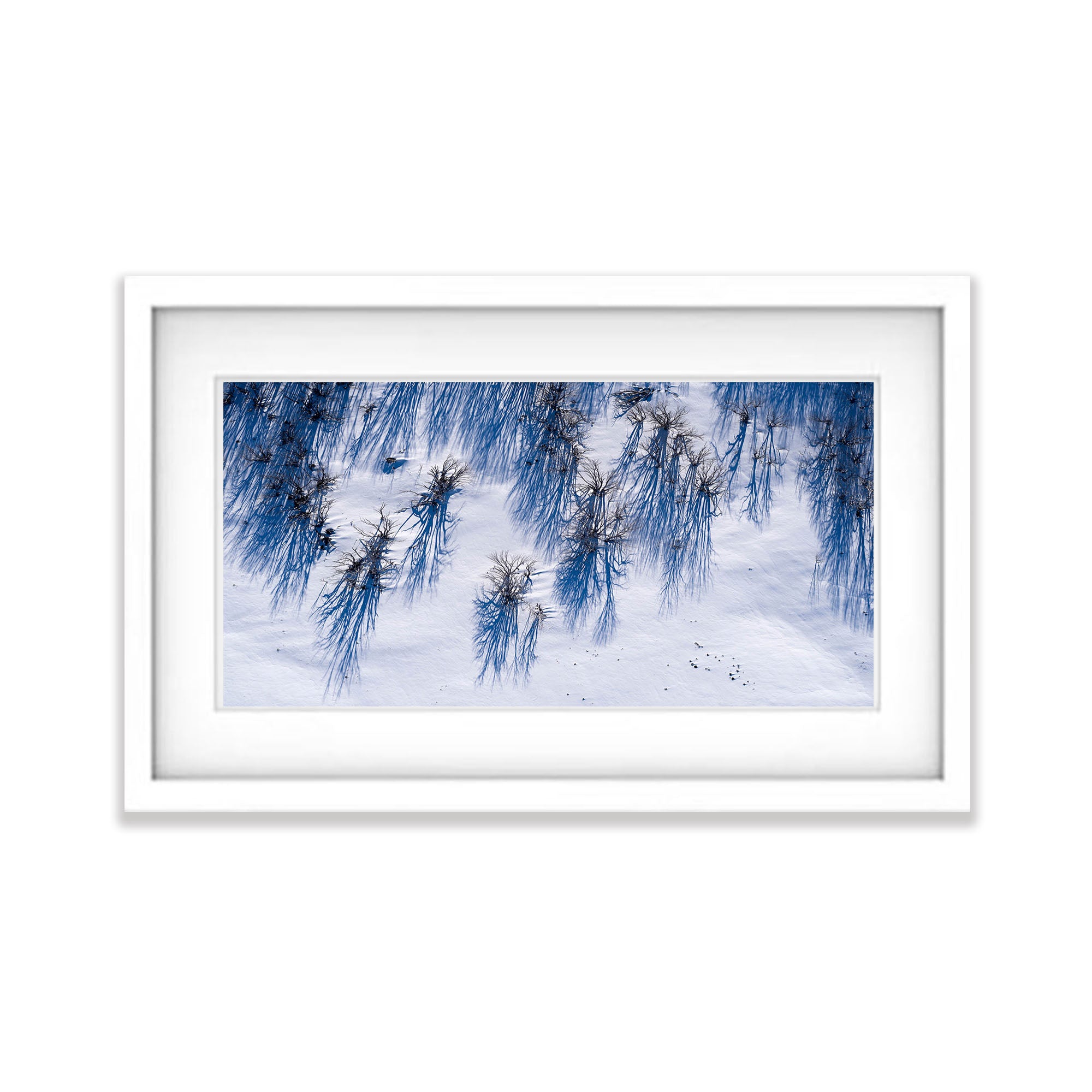 Dead Snow Gums, Mount Hotham, VIC