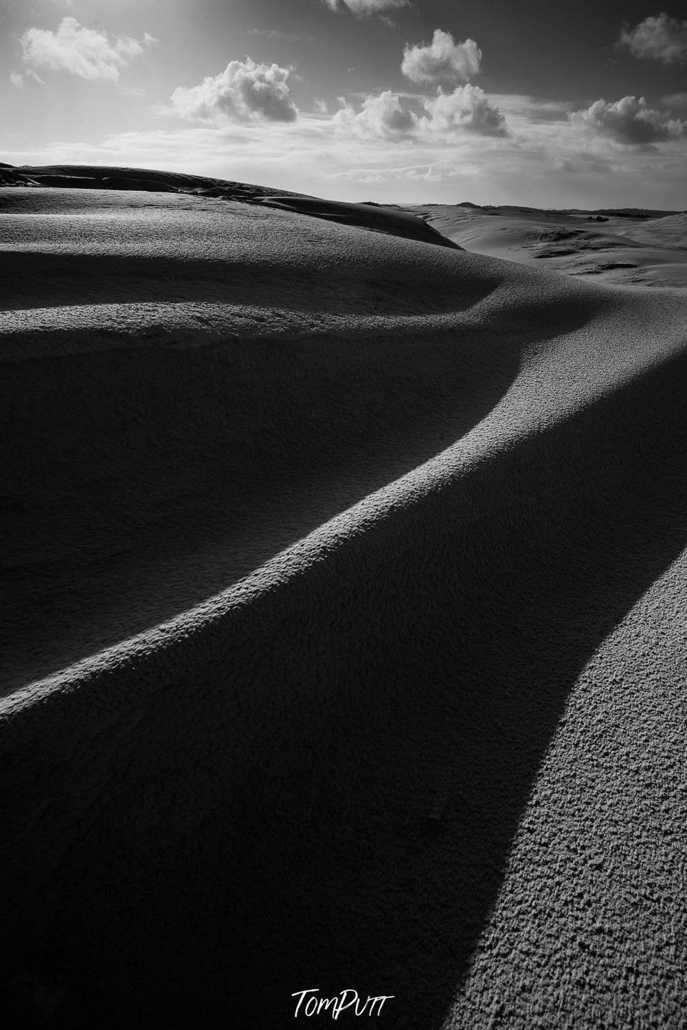 A close-up view of a dense wavy desert with black shadows of the sand waves, Deep Shadows, Eyre Peninsula