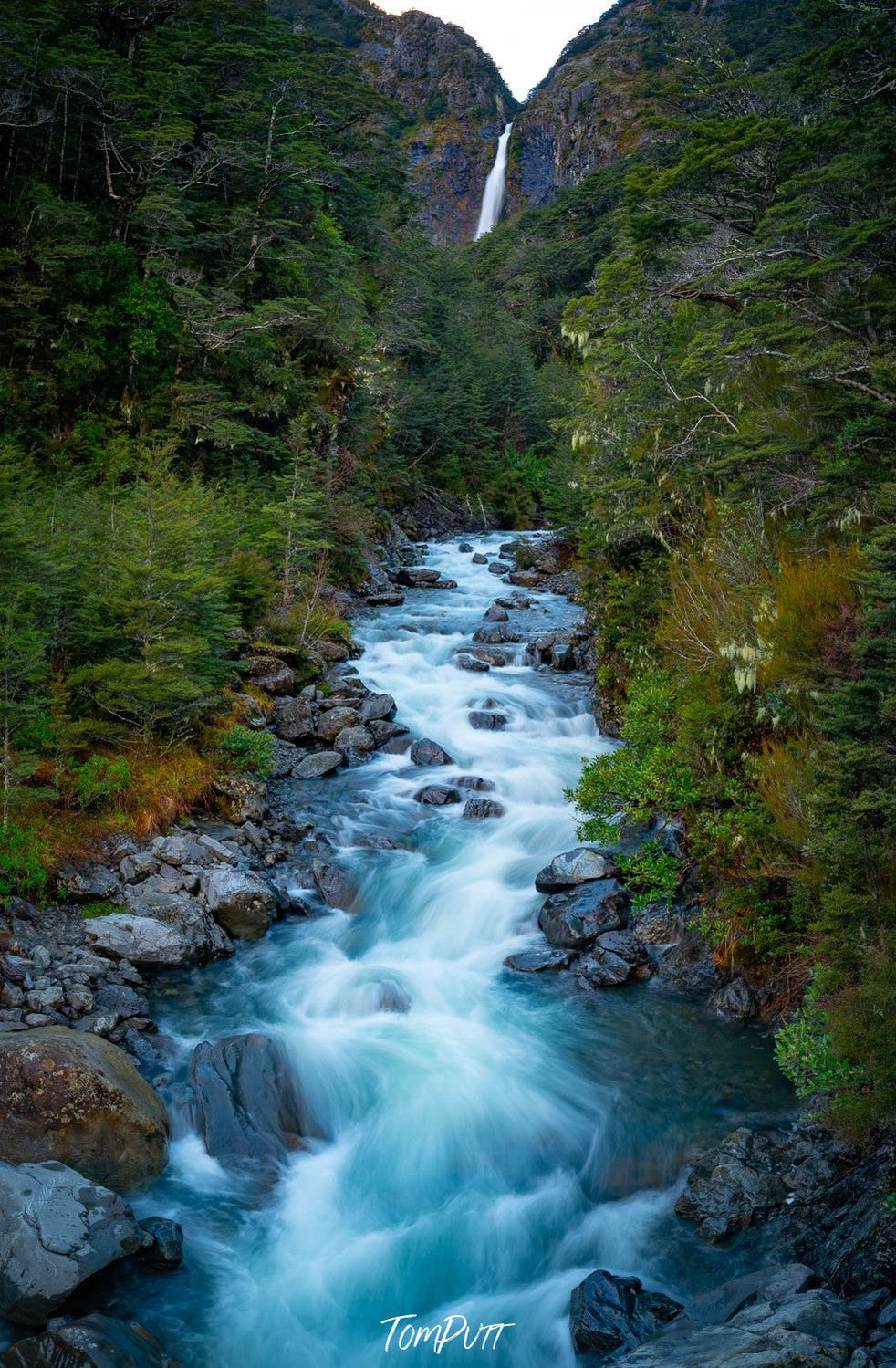 A narrow flowing water course between green trees, New Zealand #8