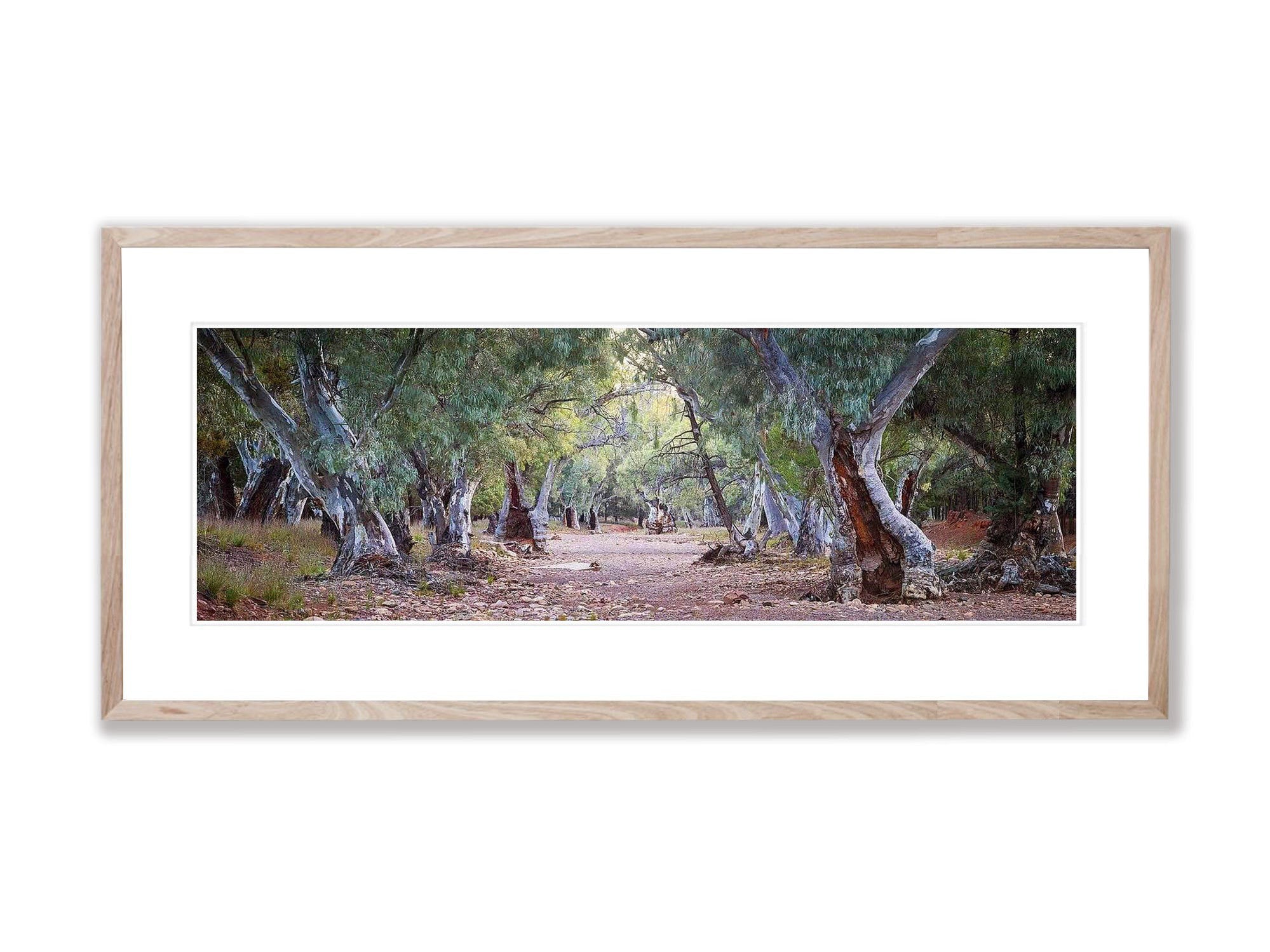 Dry Creek Bed - Flinders Ranges SA