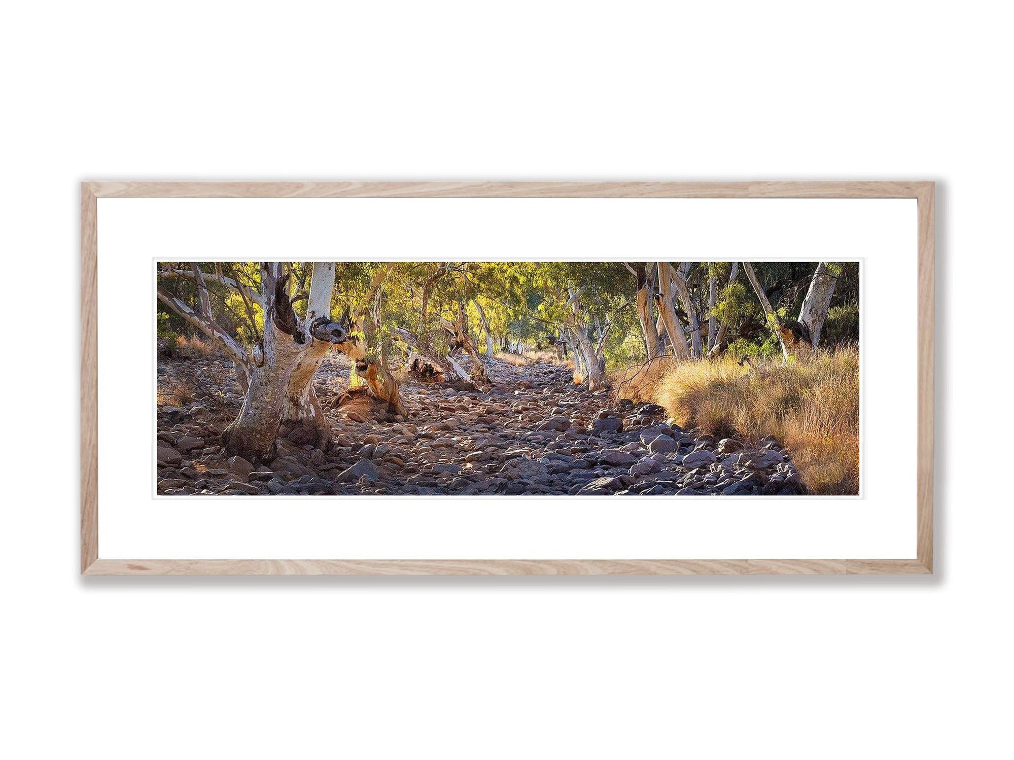 Dry Creek Bed - West Macdonnell Ranges, NT