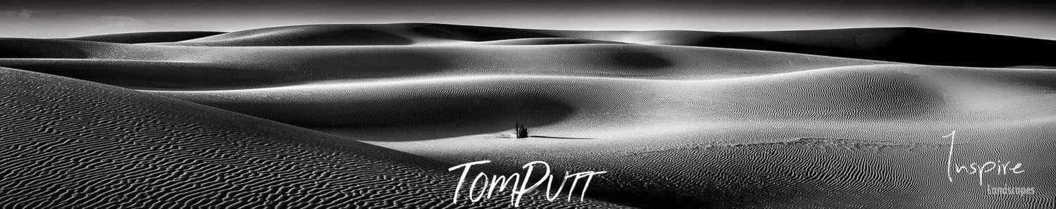 A landscape of a desert with thick layers of sand making a curvy shape, Dune Curves - Fraser Island QLD