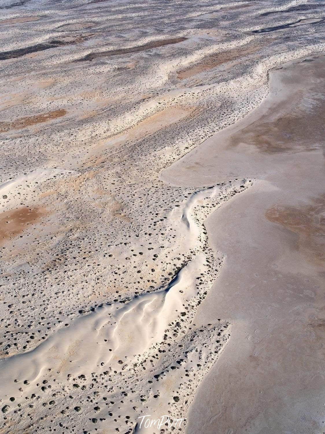 A desert land with no layers, Flat surface with mustard and sand color combination, and some small black spots in the picture, Dune Ribbons