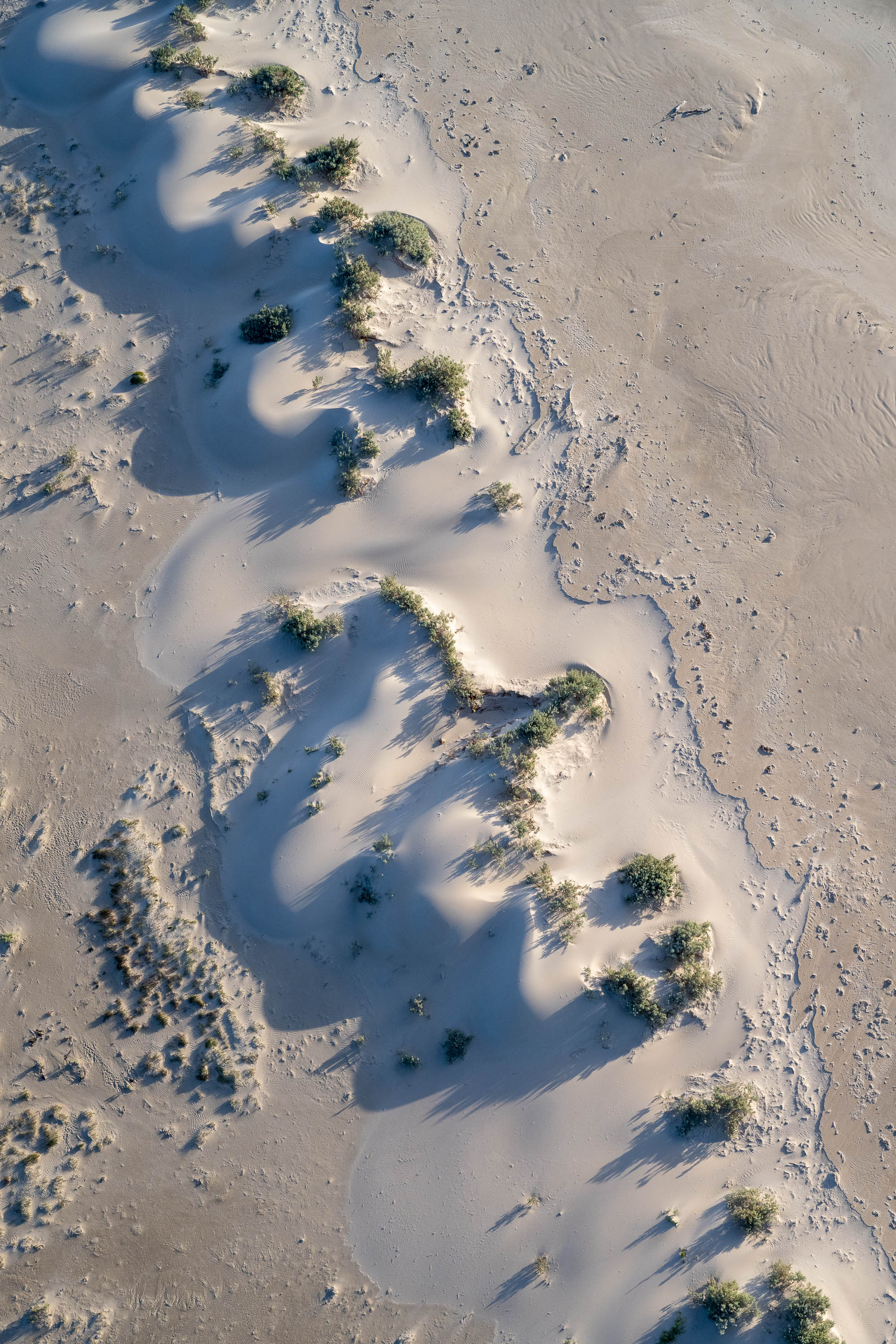 Dunes from above, Wilson's Promontory