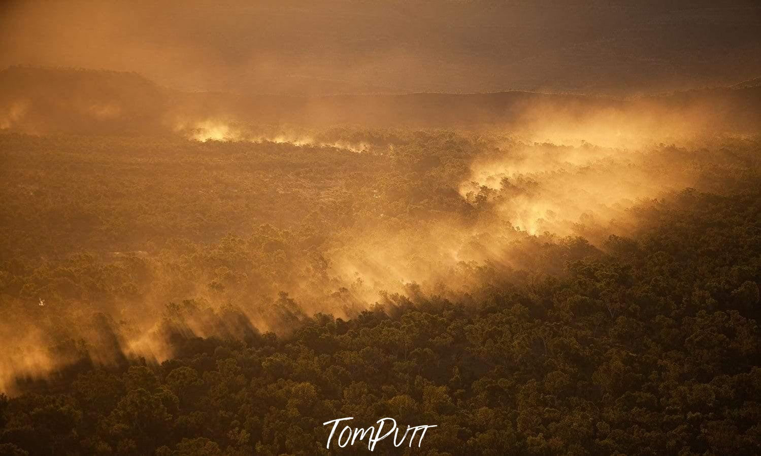 A thick dense forest with a heavy dust Strom, depicting a jungle fire scene, Dust - The Kimberley WA 