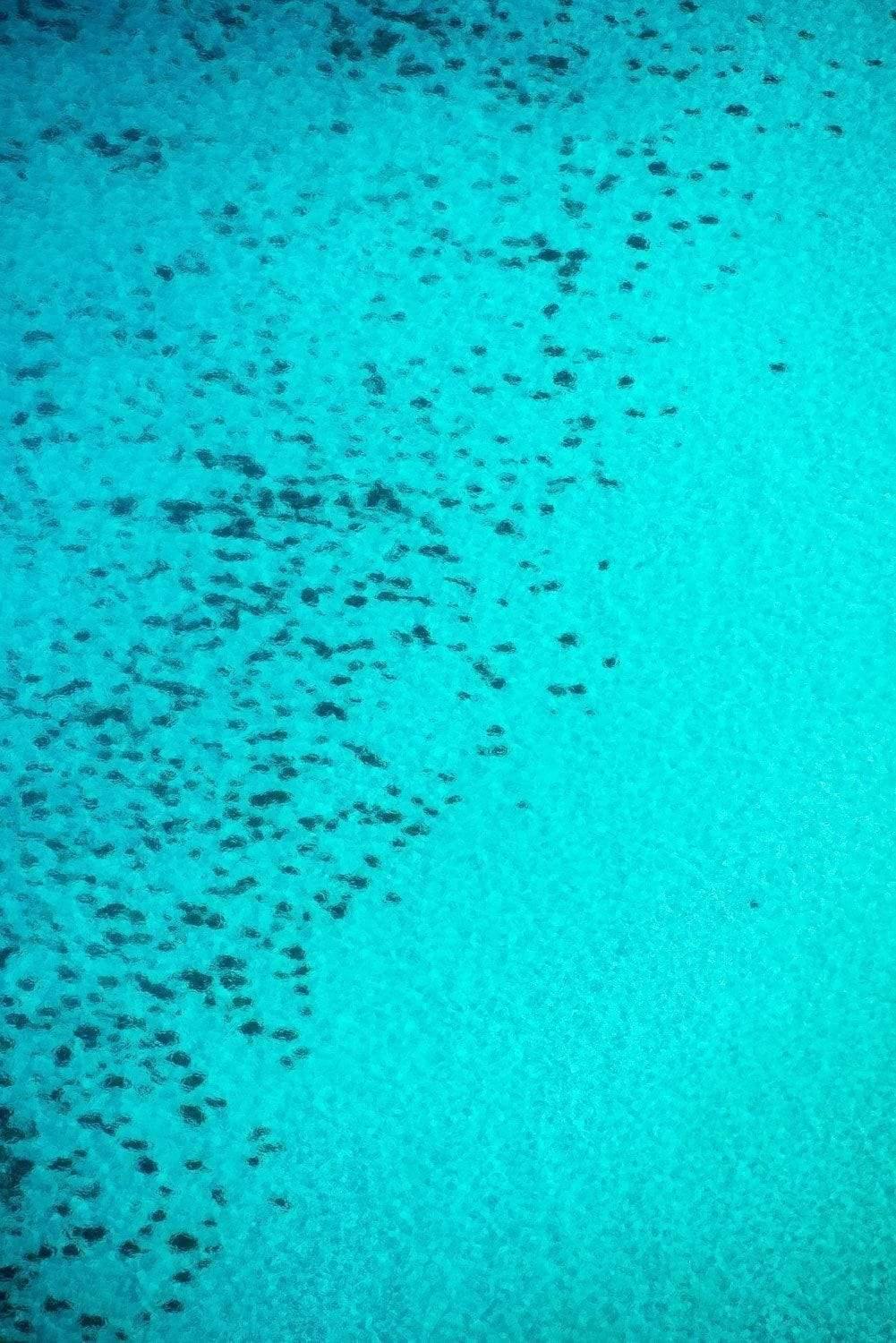 A portrait view of a large sky-blue oceanic surface with a group of countless blurred black spots, Eagle Bay