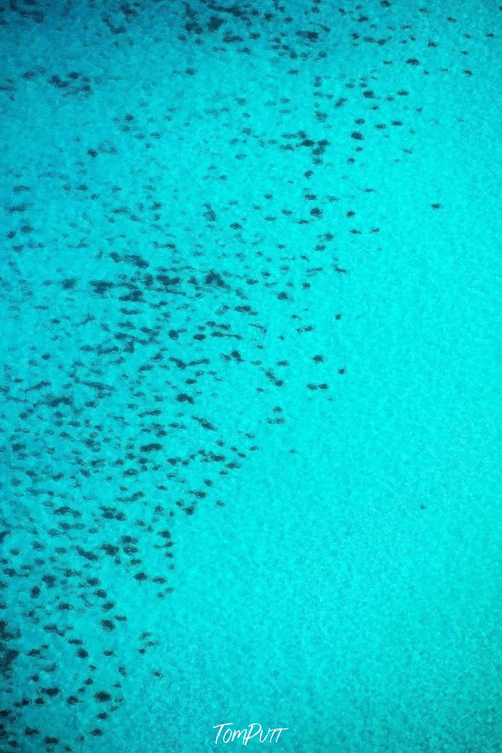 A portrait view of a large sky-blue oceanic surface with a group of countless blurred black spots, Eagle Bay