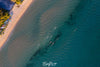 Early Morning Swim Squad, Sorrento, Mornington Peninsula
