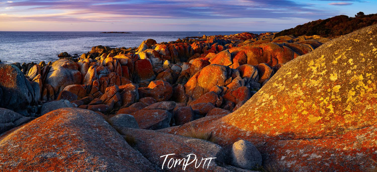 A large sequence of rounded small and large stones spreading in a long area, a seashore in the background, Eddystone Point Rocks, Bay of Fires