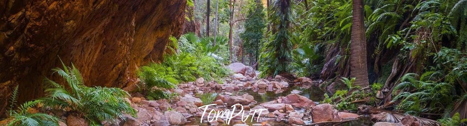 A landscape view of a pathway with a lot of stones and a large rock on the left side, and some plants and trees on the right side, El Questro Gorge - The Kimberley WA