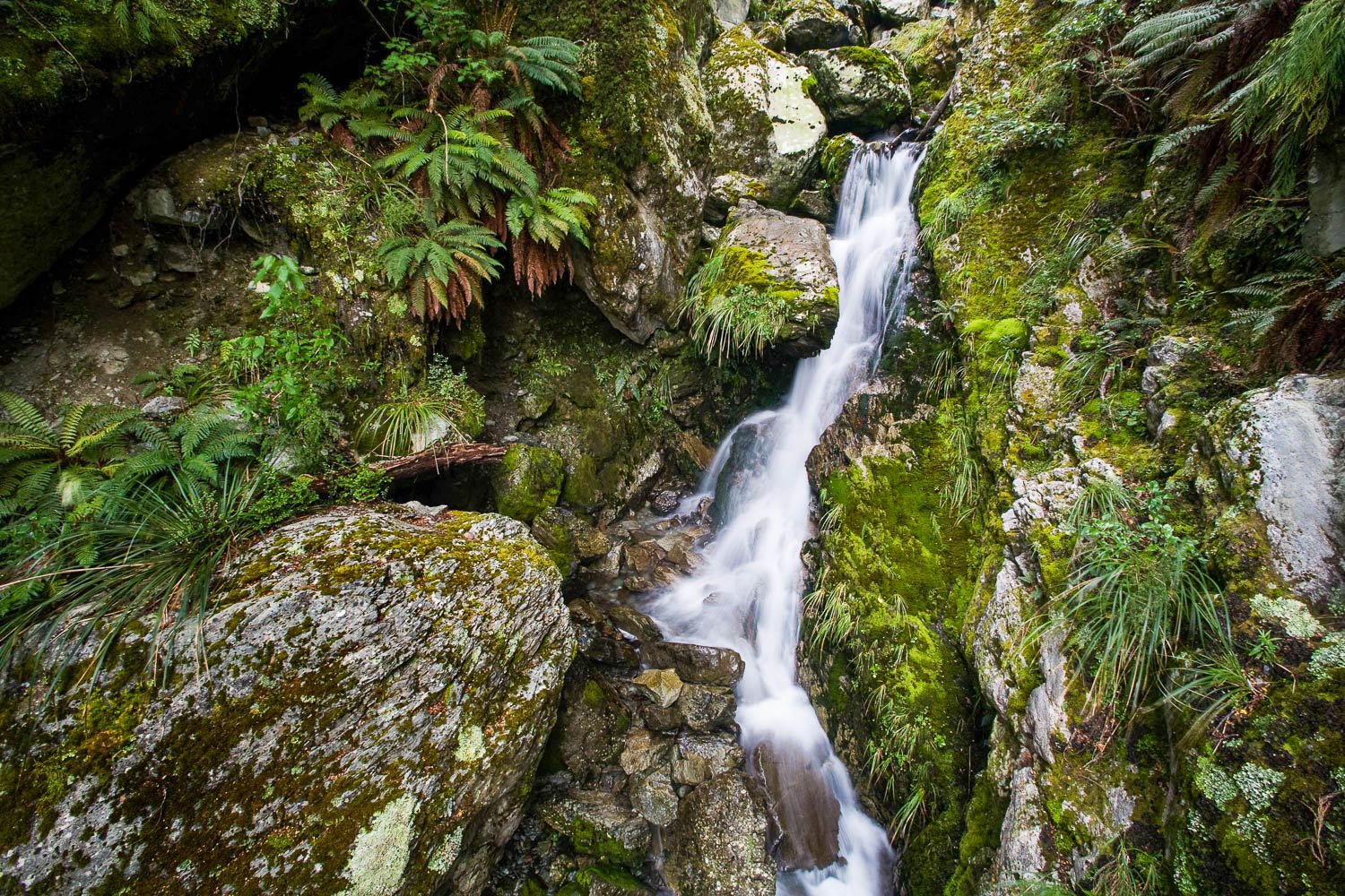 A close-up shot of a green mountain wall with a small waterfall and a lot of plants, and grass, Emily Creek Falls, Routeburn Track - New Zealand