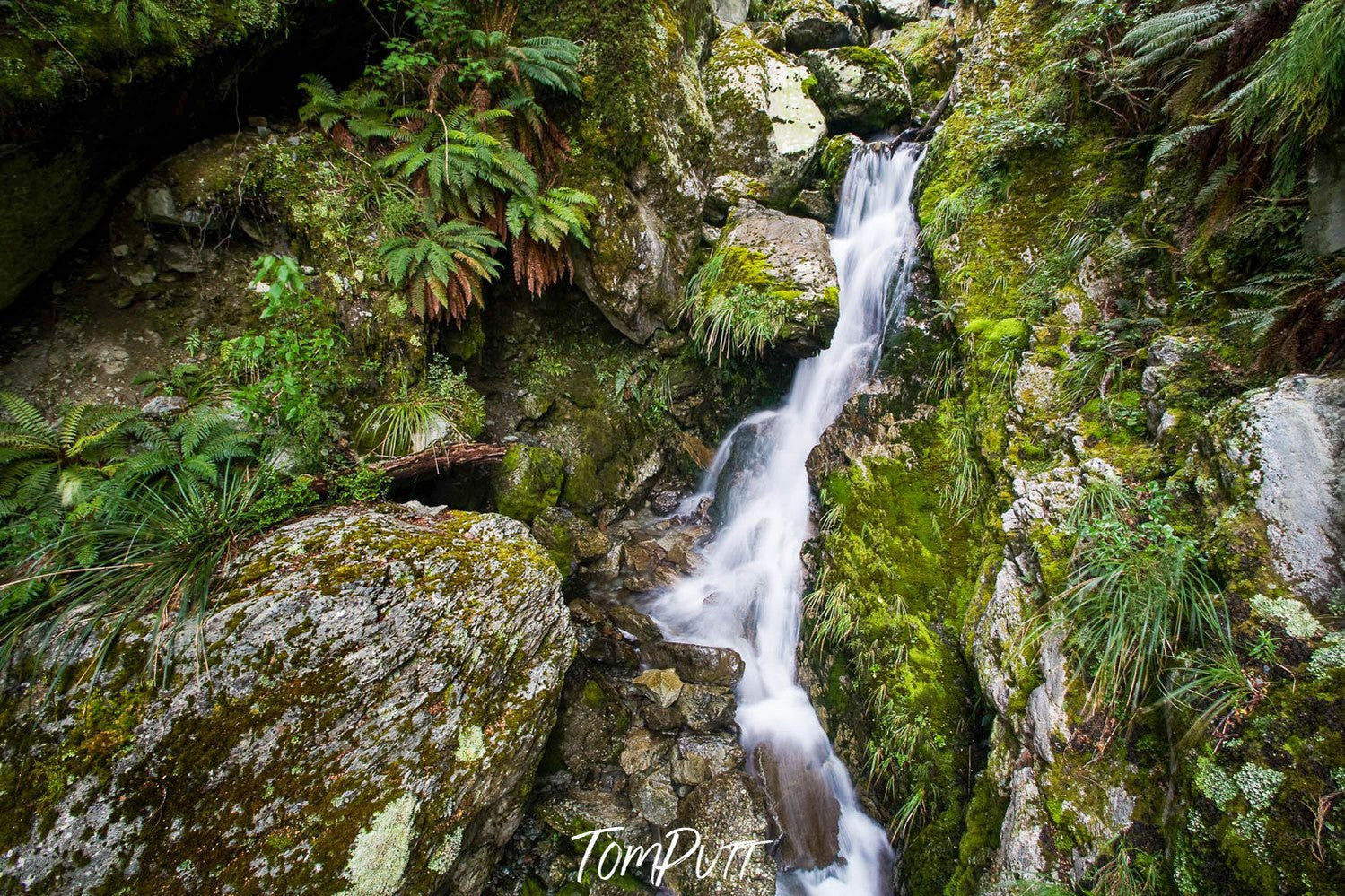 A close-up shot of a green mountain wall with a small waterfall and a lot of plants, and grass, Emily Creek Falls, Routeburn Track - New Zealand