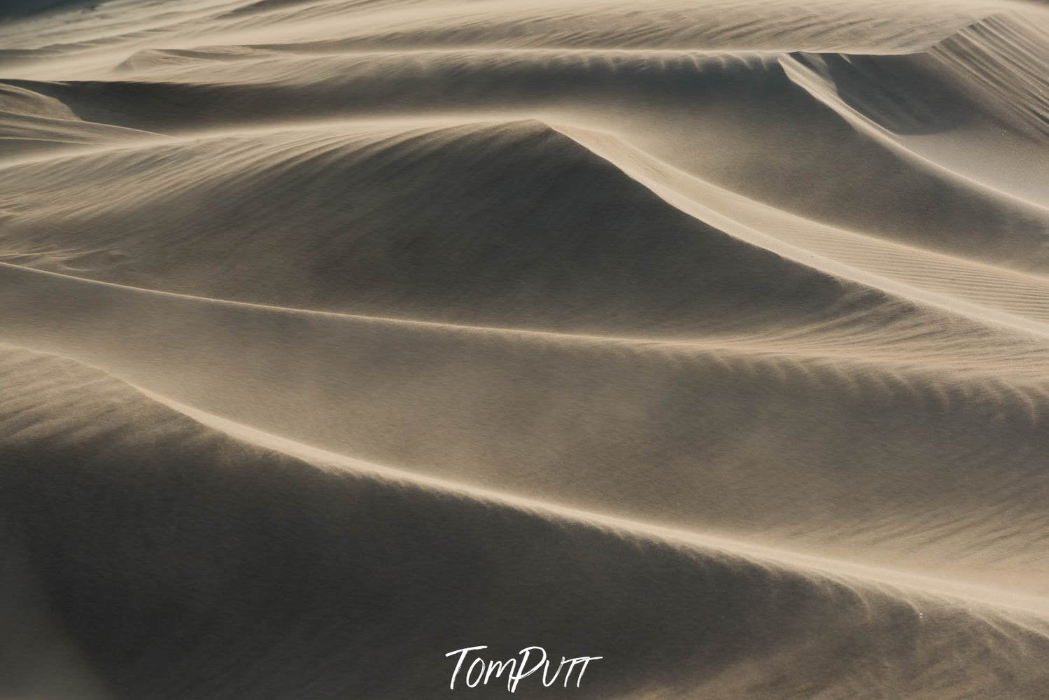 A desert with many waves of sand, Eyre Peninsula #3