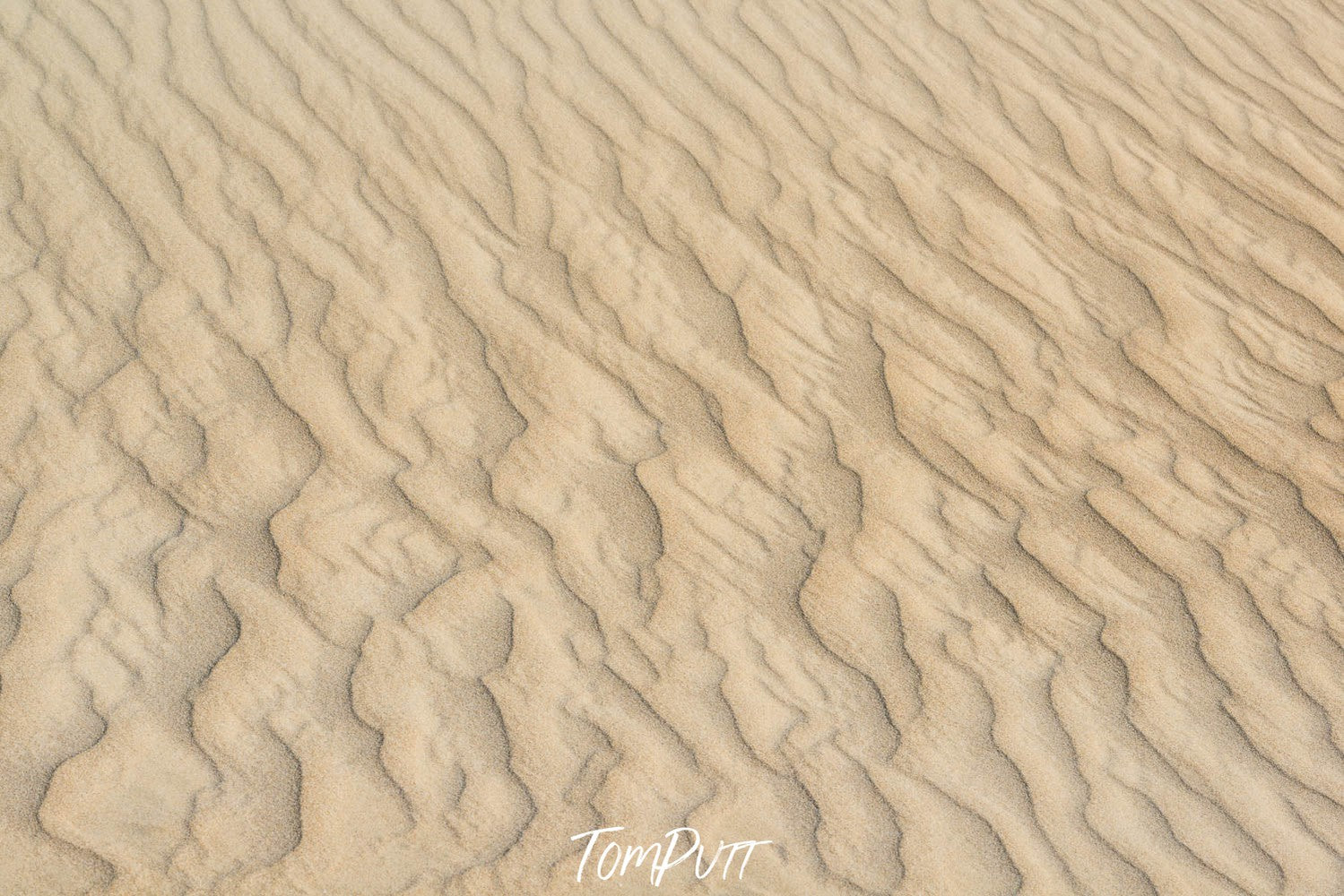 A desert with a texture of many small cracks and waves of sand, Eyre Peninsula #4