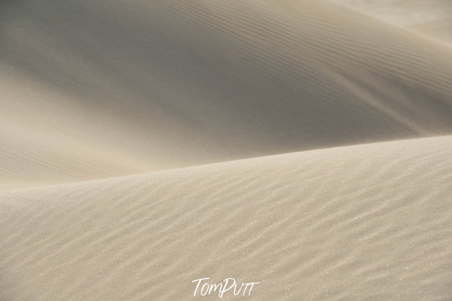 A desert with huge waves of sand, Eyre Peninsula #5