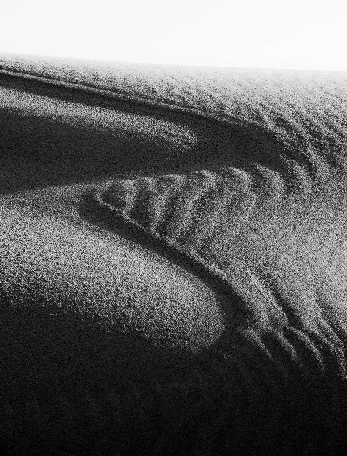 A black and white view of a desert with clean lines some and long waves of separating the plane and the curvy sand, and a dark shadow hitting partially on the picture, Eyre Peninsula #8