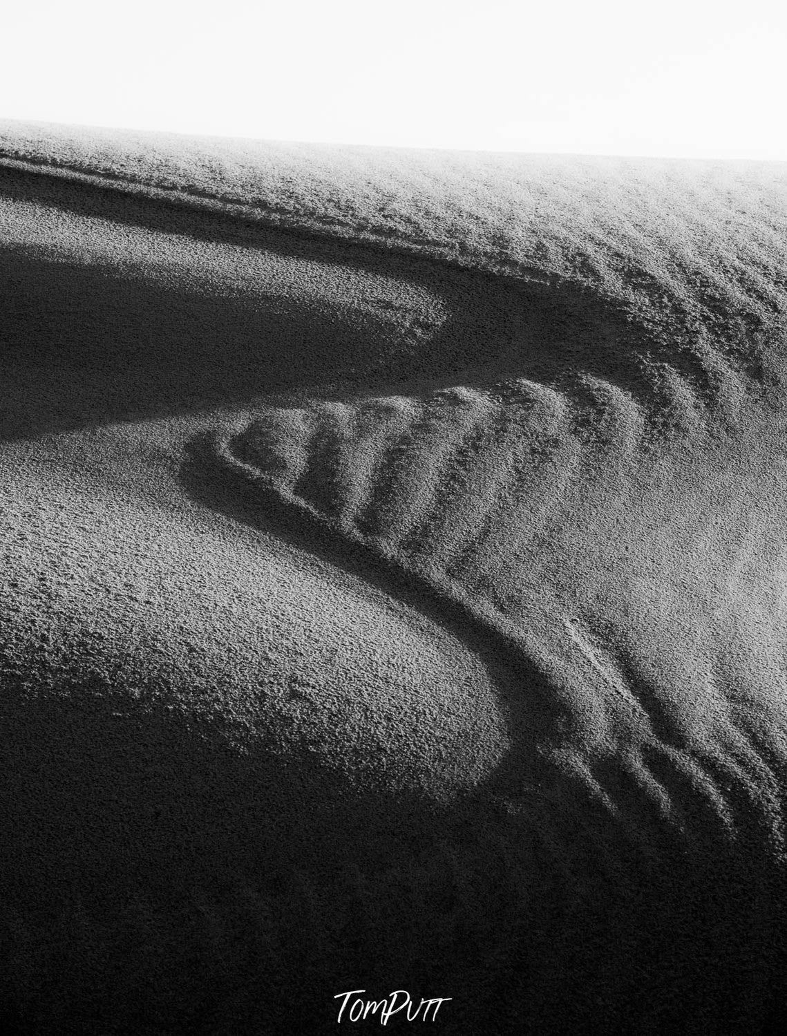 A black and white view of a desert with clean lines some and long waves of separating the plane and the curvy sand, and a dark shadow hitting partially on the picture, Eyre Peninsula #8