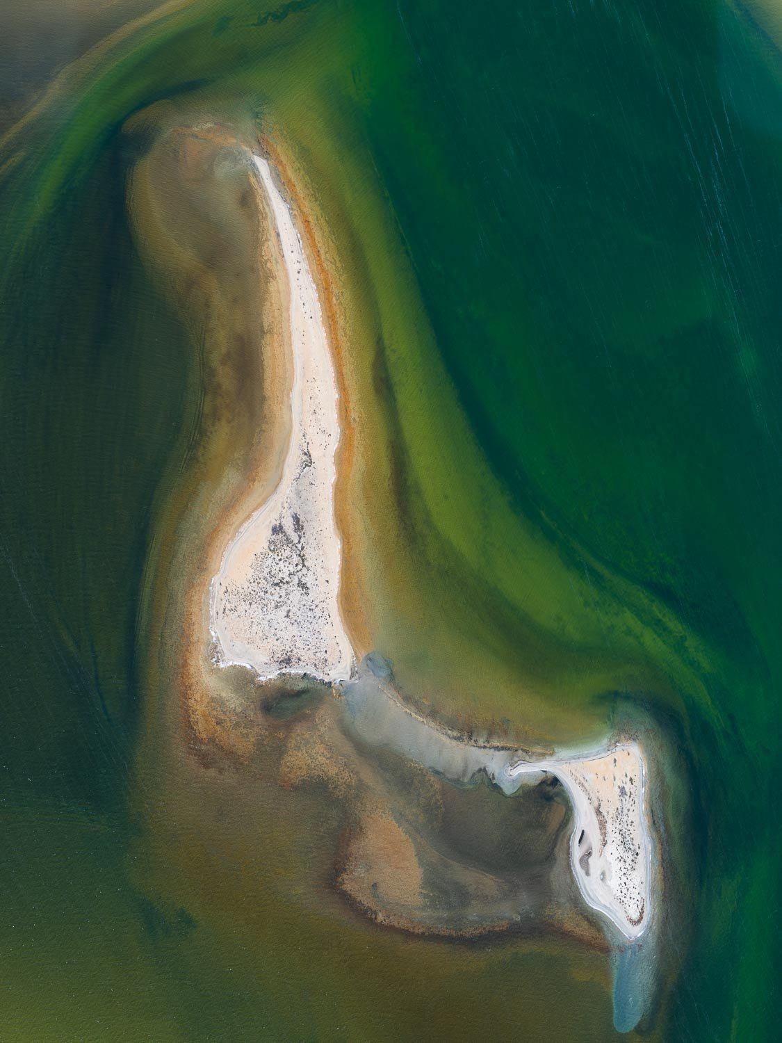 Oil painting of a large green oceanic surface with a thick shape of wave having white and mustard colors, Femur
