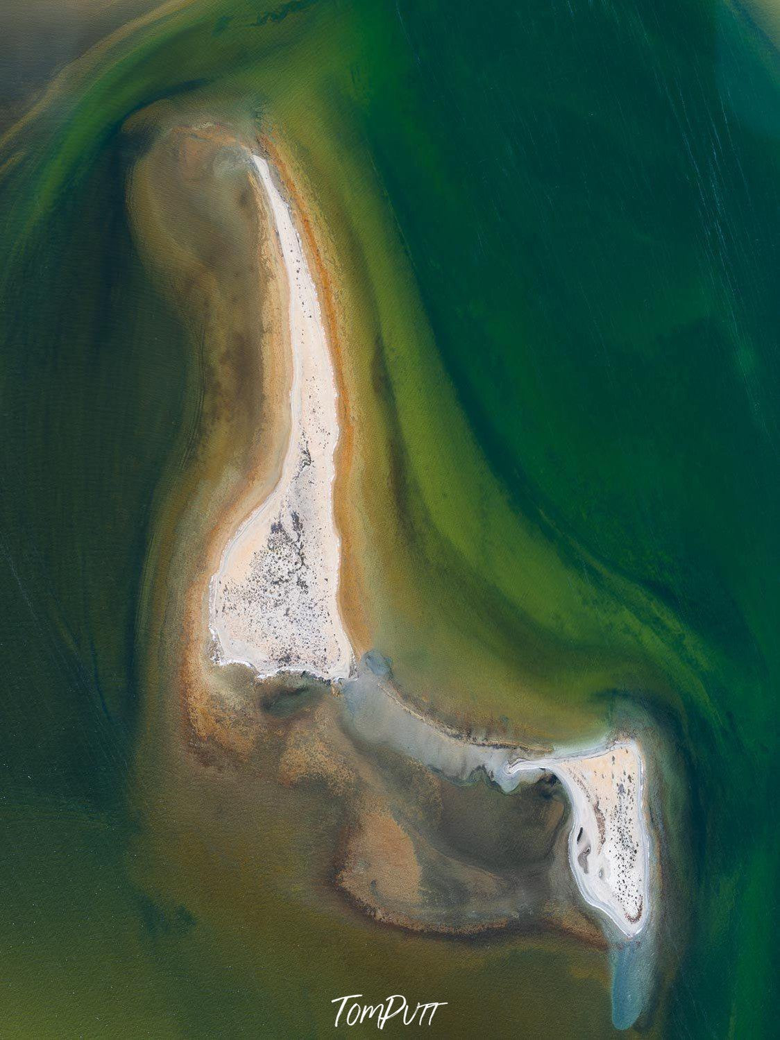 Oil painting of a large green oceanic surface with a thick shape of wave having white and mustard colors, Femur