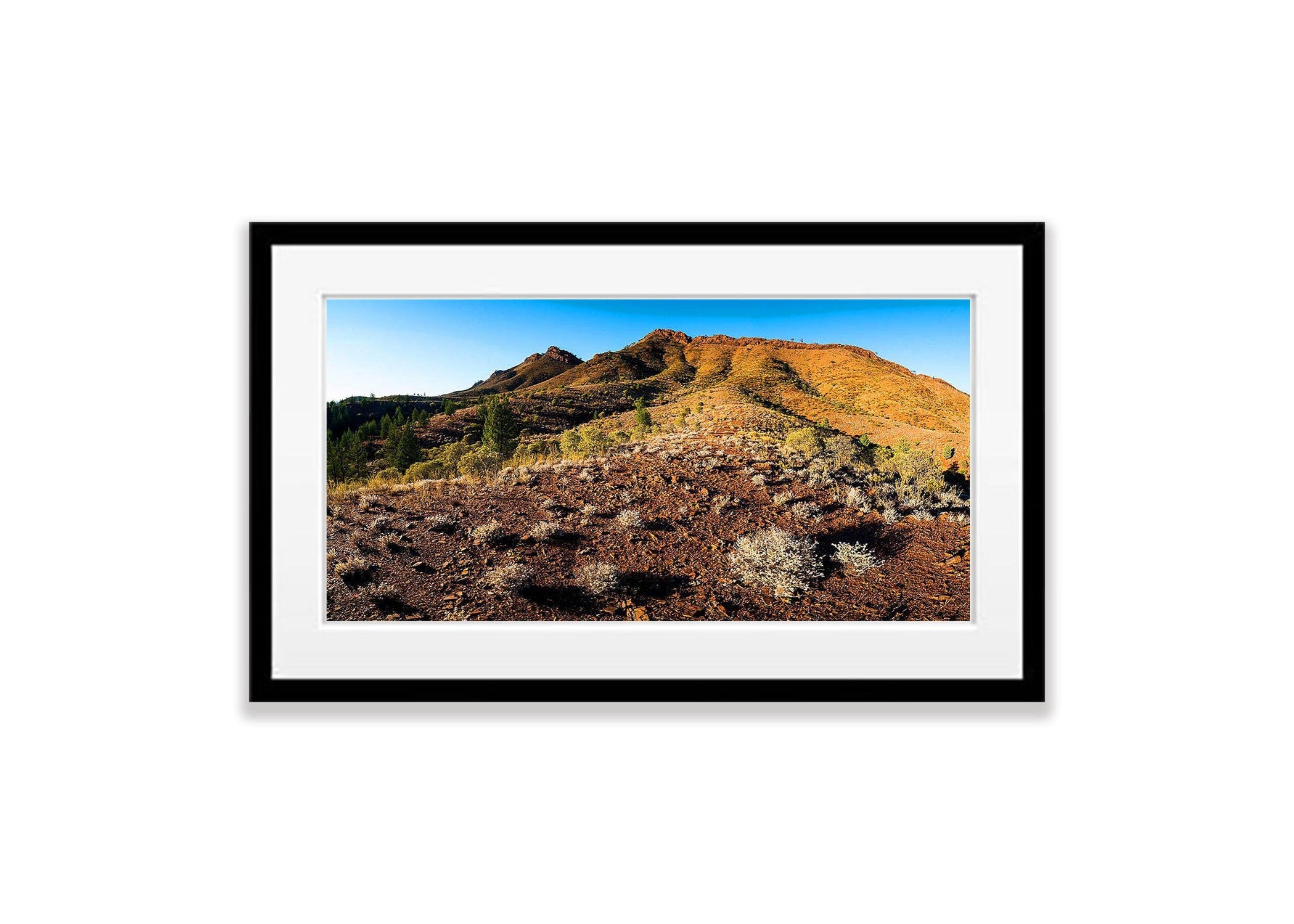 Boundless Beauty, Flinders Ranges, SA