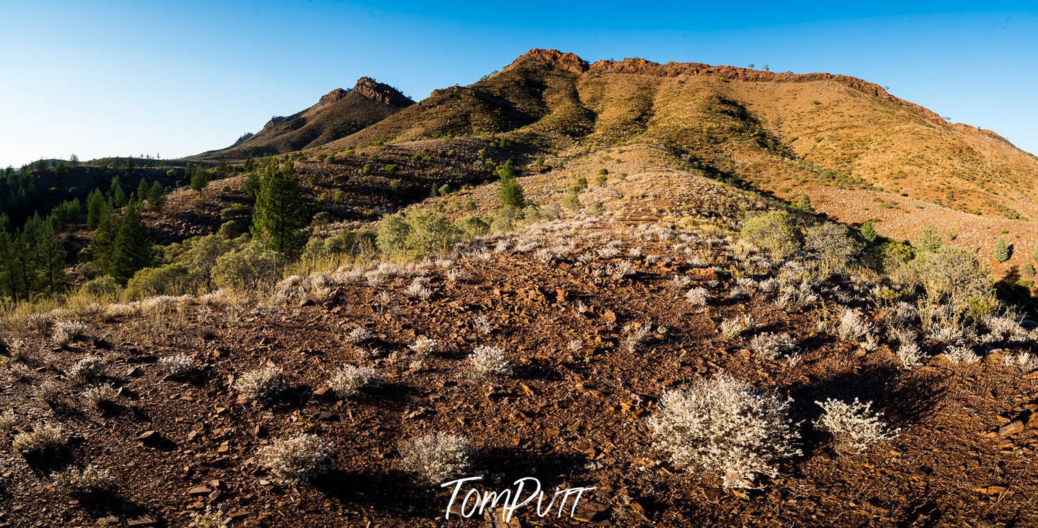 A high mountain, and some bushes and dark brown soil on the ground, Flinders Ranges #1 