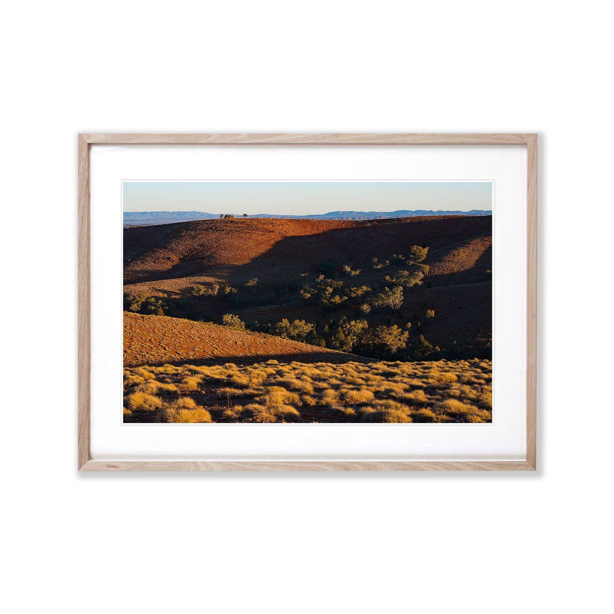 Golden Tranquility, Flinders Ranges, SA