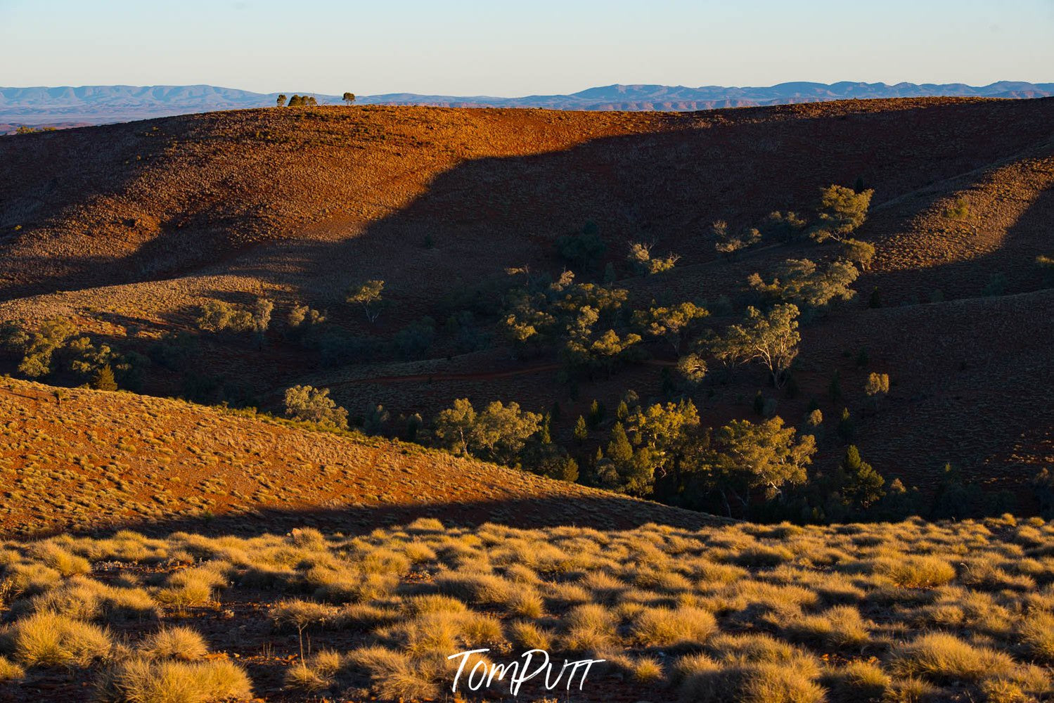 A long desert-like area with big mounds and some greenery over it, Flinders Ranges #5