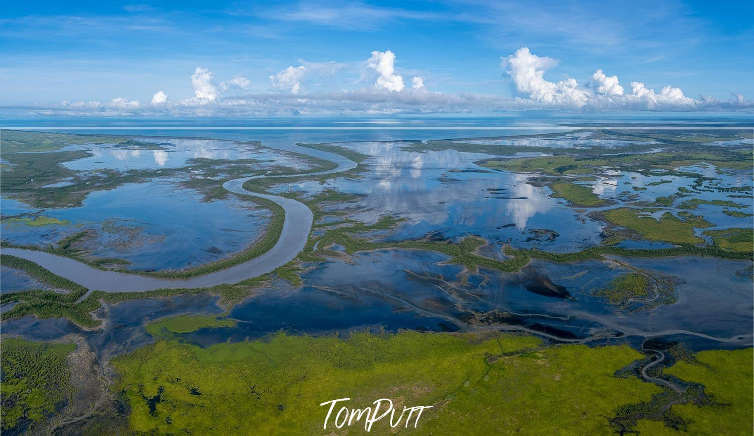 Giant series of grass and bushes spreading all over the land and in the lake, making a beautiful pattern of greenish color, and a clear sky over the scene, Arnhem Land 9 - Northern Territory