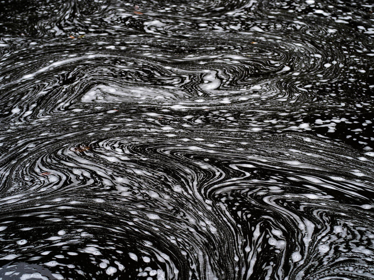 A thumbprint-like texture of white cotton, Foam on Black Water, Far North Queensland