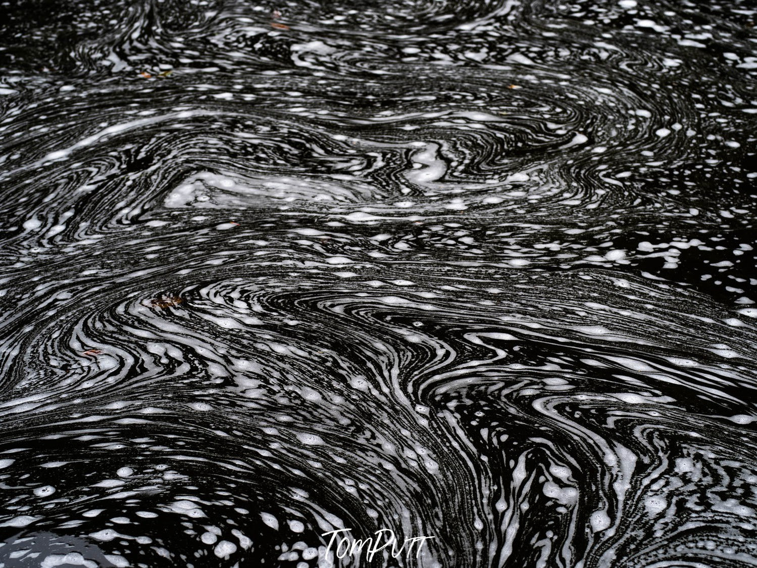 A thumbprint-like texture of white cotton, Foam on Black Water, Far North Queensland