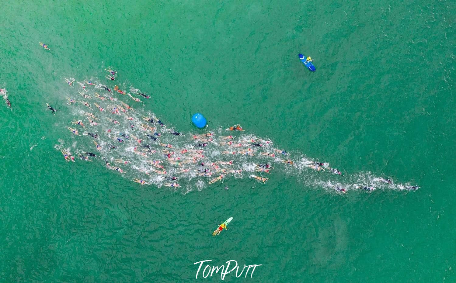 A whale-fish like design formed in the sea by people and water bubbles, Follow the Leader, MMAD Swim - Mornington Peninsula VIC