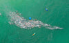 A whale-fish like design formed in the sea by people and water bubbles, Follow the Leader, MMAD Swim - Mornington Peninsula VIC