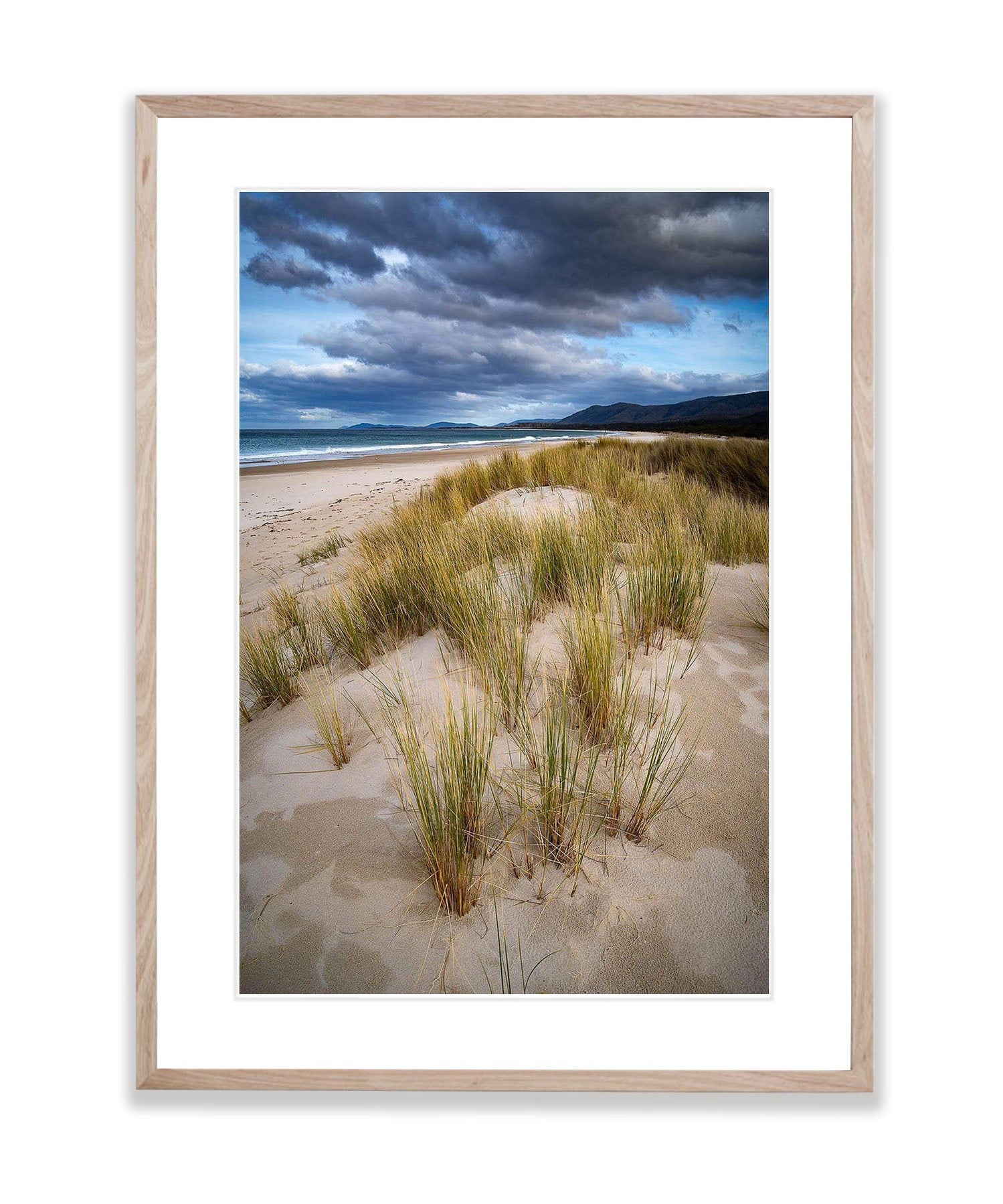 Foredune Grasses, Bay of Fires