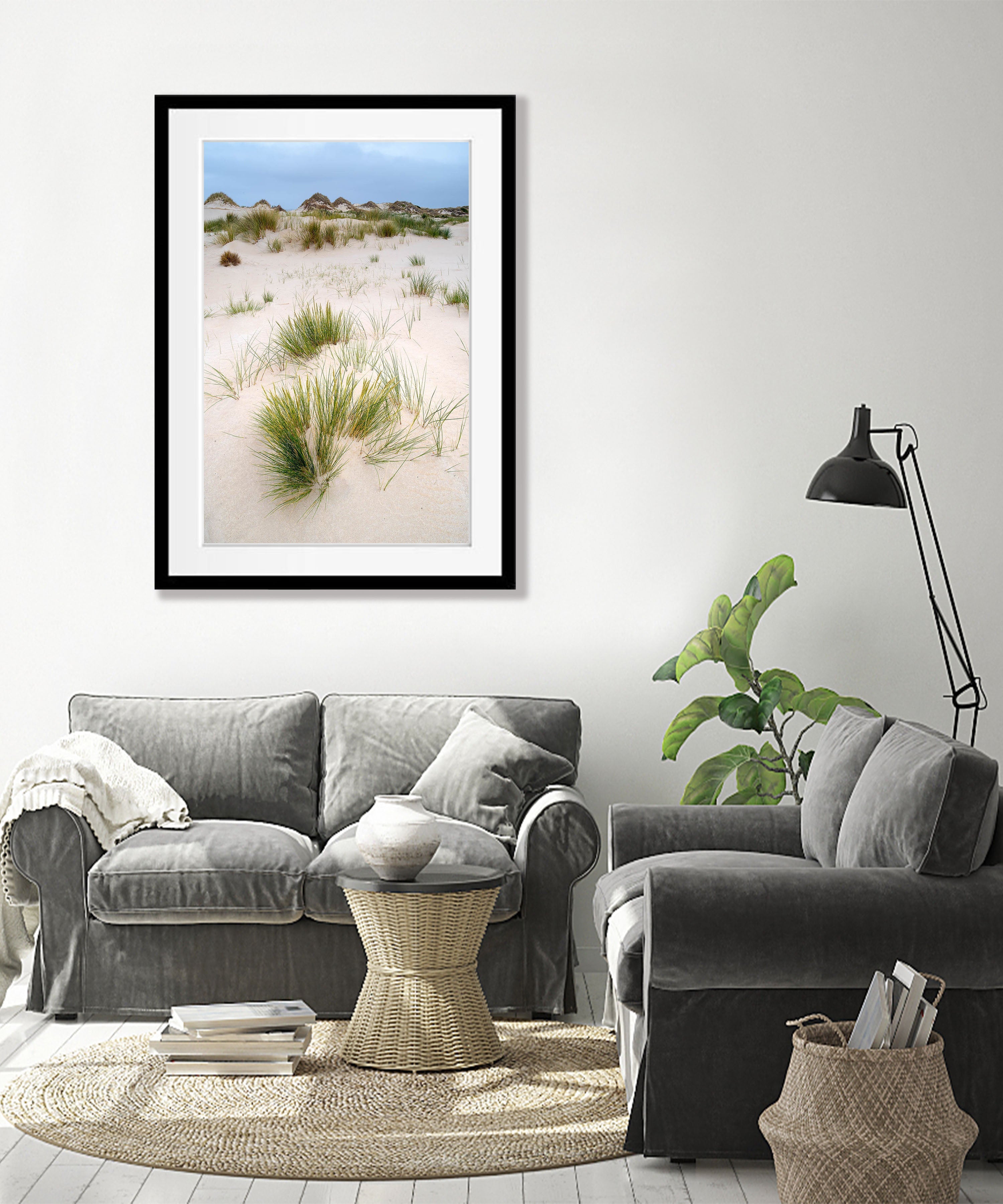 Foredune grass at the Bay of Fires, Tasmania
