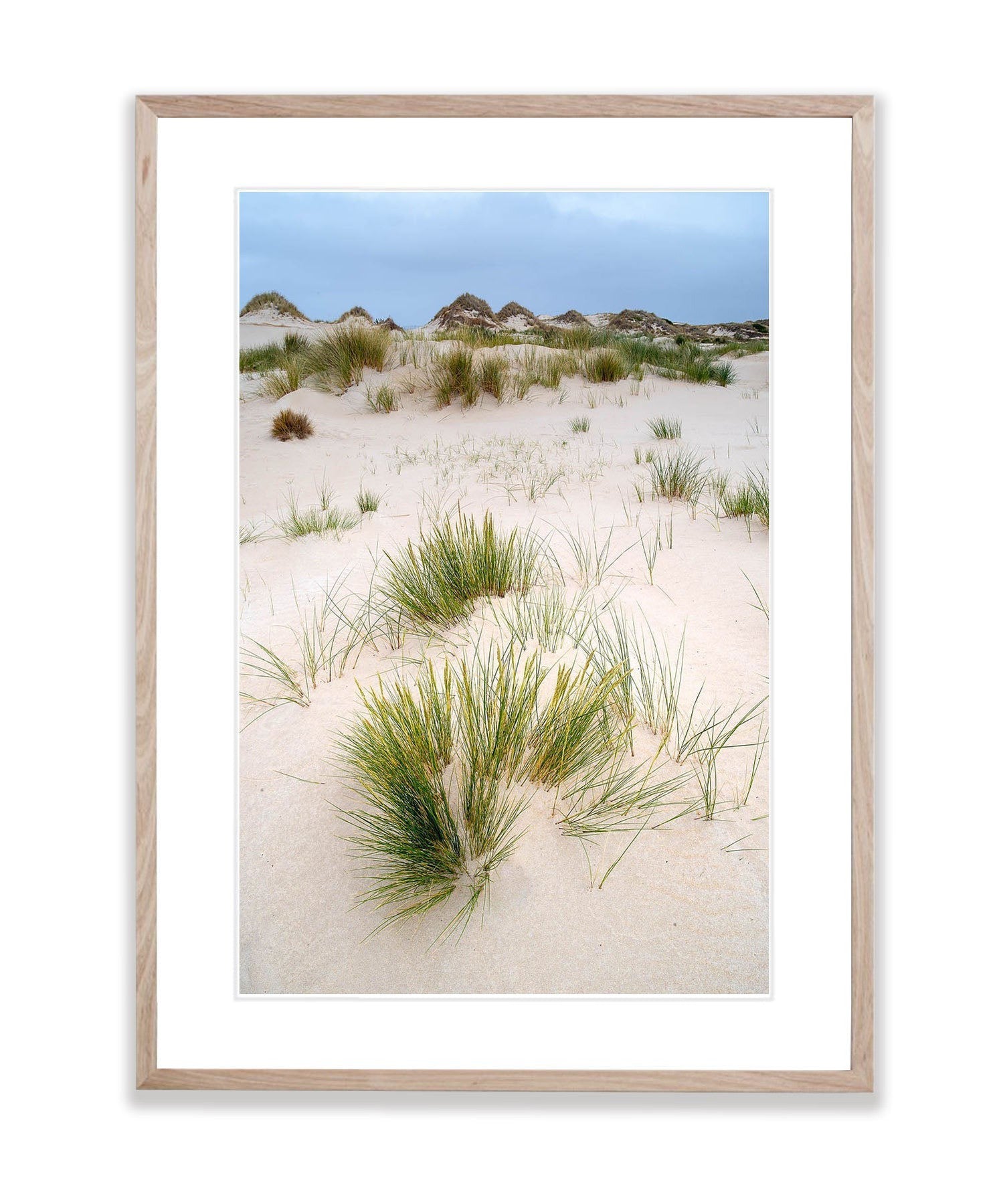 Foredune grass at the Bay of Fires, Tasmania