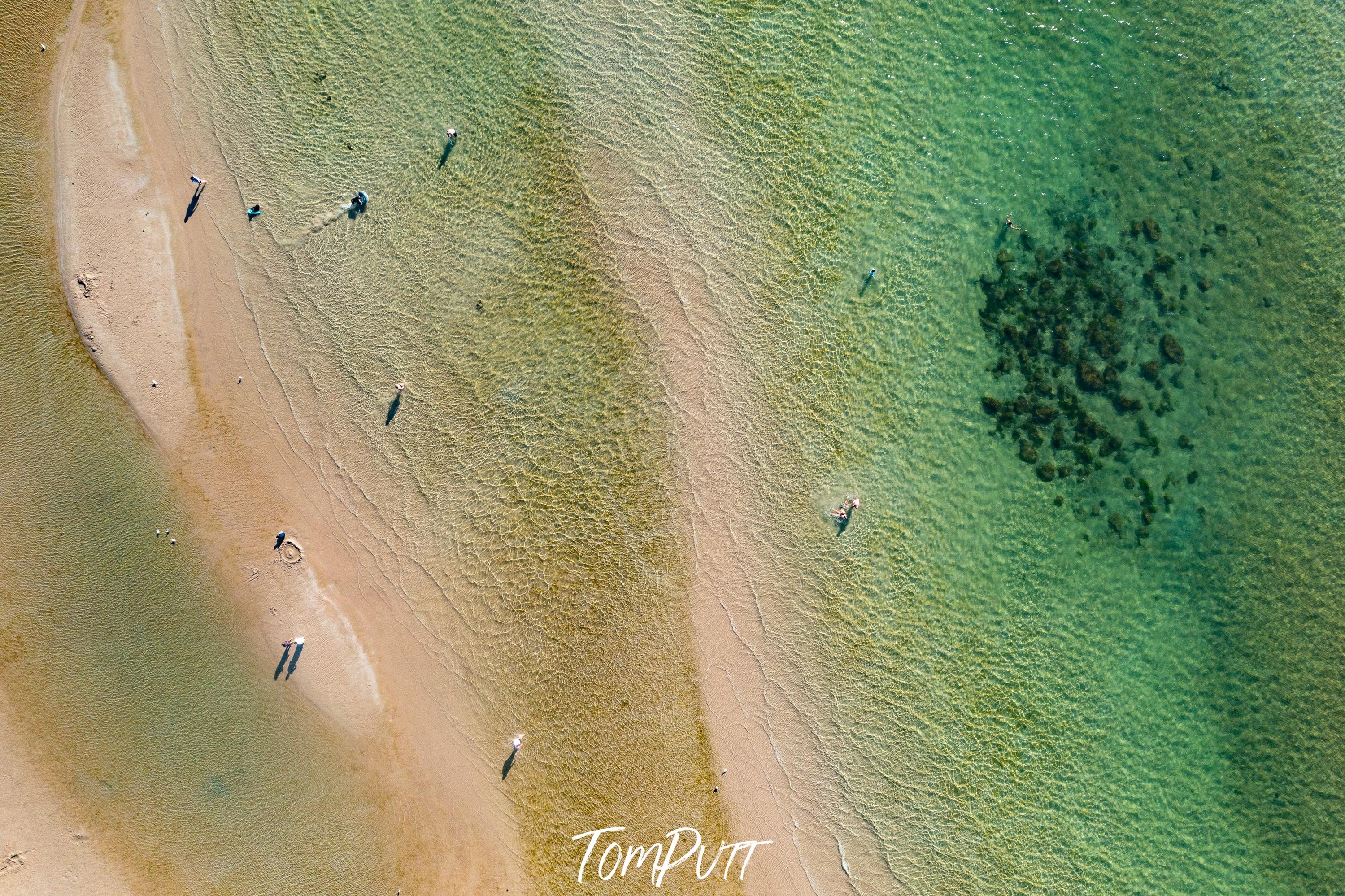 Frankston Summer Swimmers