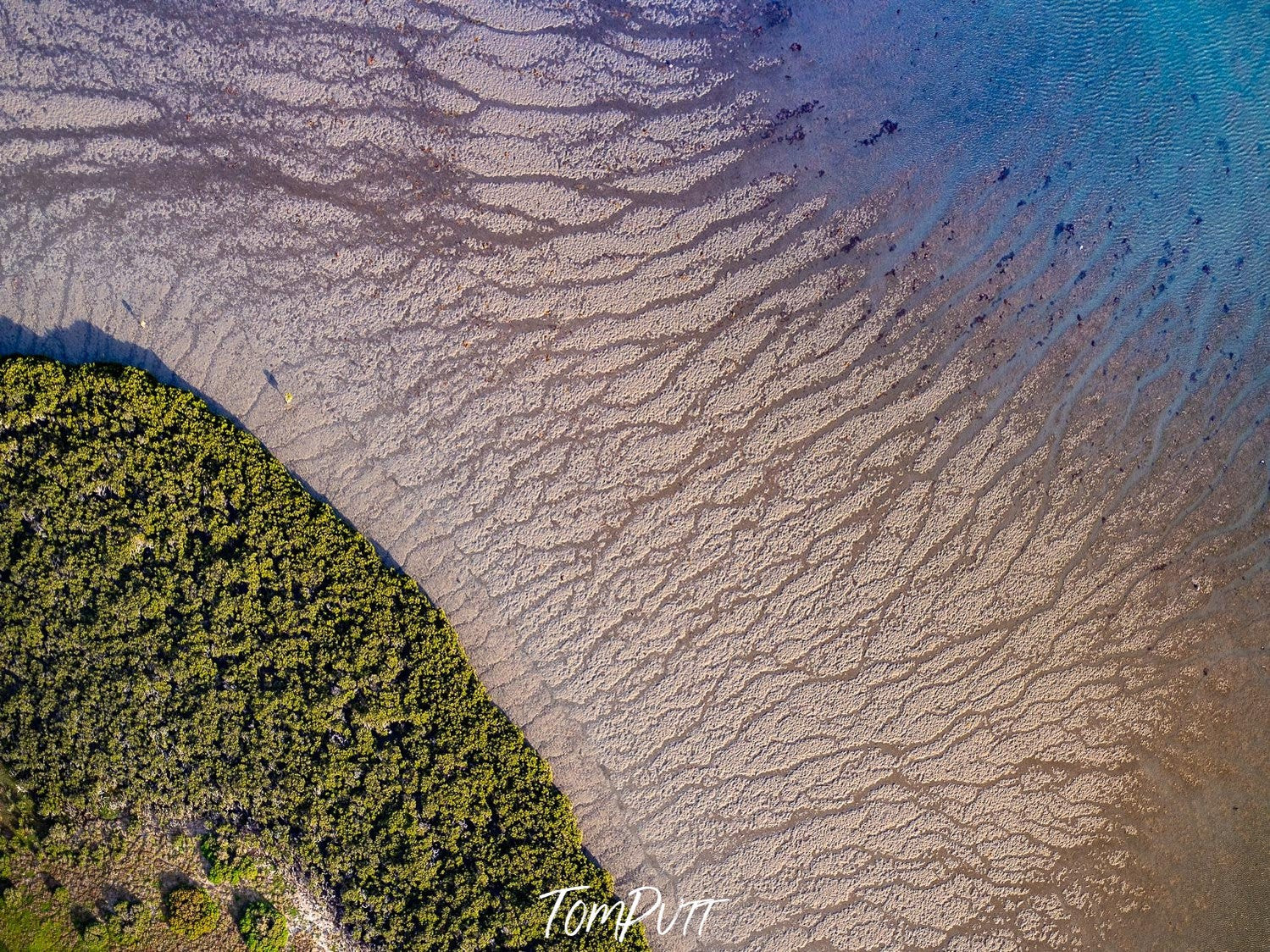 A large texture of sand with countless waves of leaf-shape, and thick greenery in the background, French Island Aerial #1 - Western Port Bay