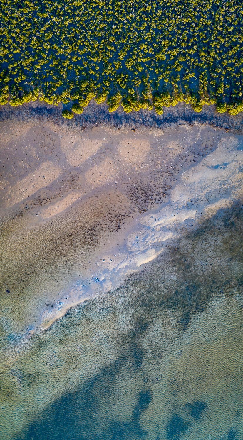 A large texture of sand with countless small trees on the top, French Island Aerial #10 - Western Port Bay