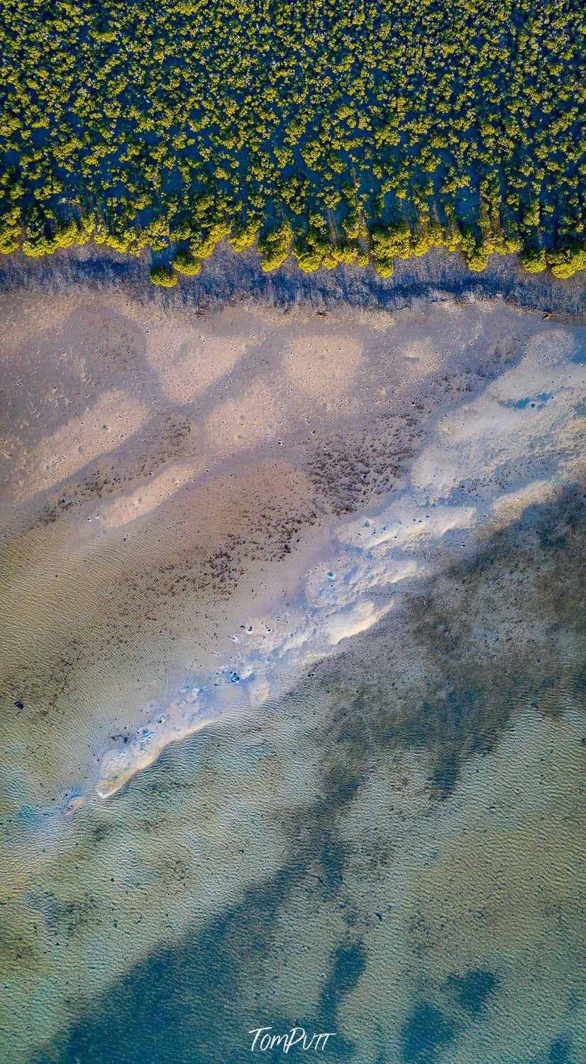 A large texture of sand with countless small trees on the top, French Island Aerial #10 - Western Port Bay