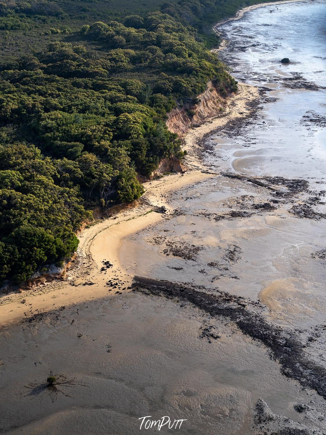 A large wet sand area connecting with a thick greenery area, French Island Aerial #2 - Western Port Bay