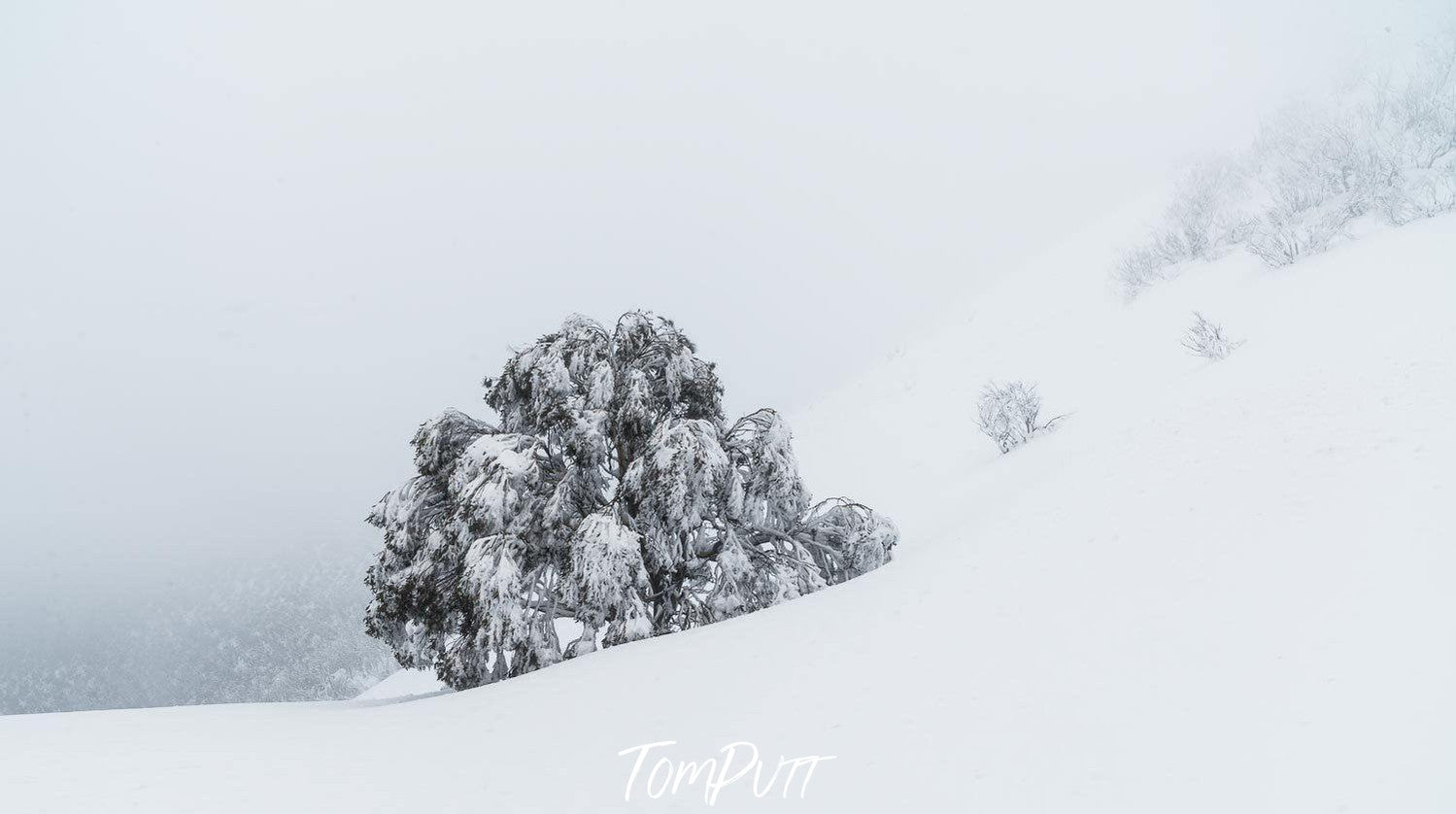 Frozen Cold Snap on a fully snow-covered land, Frozen Cold Snap -Victorian High Country