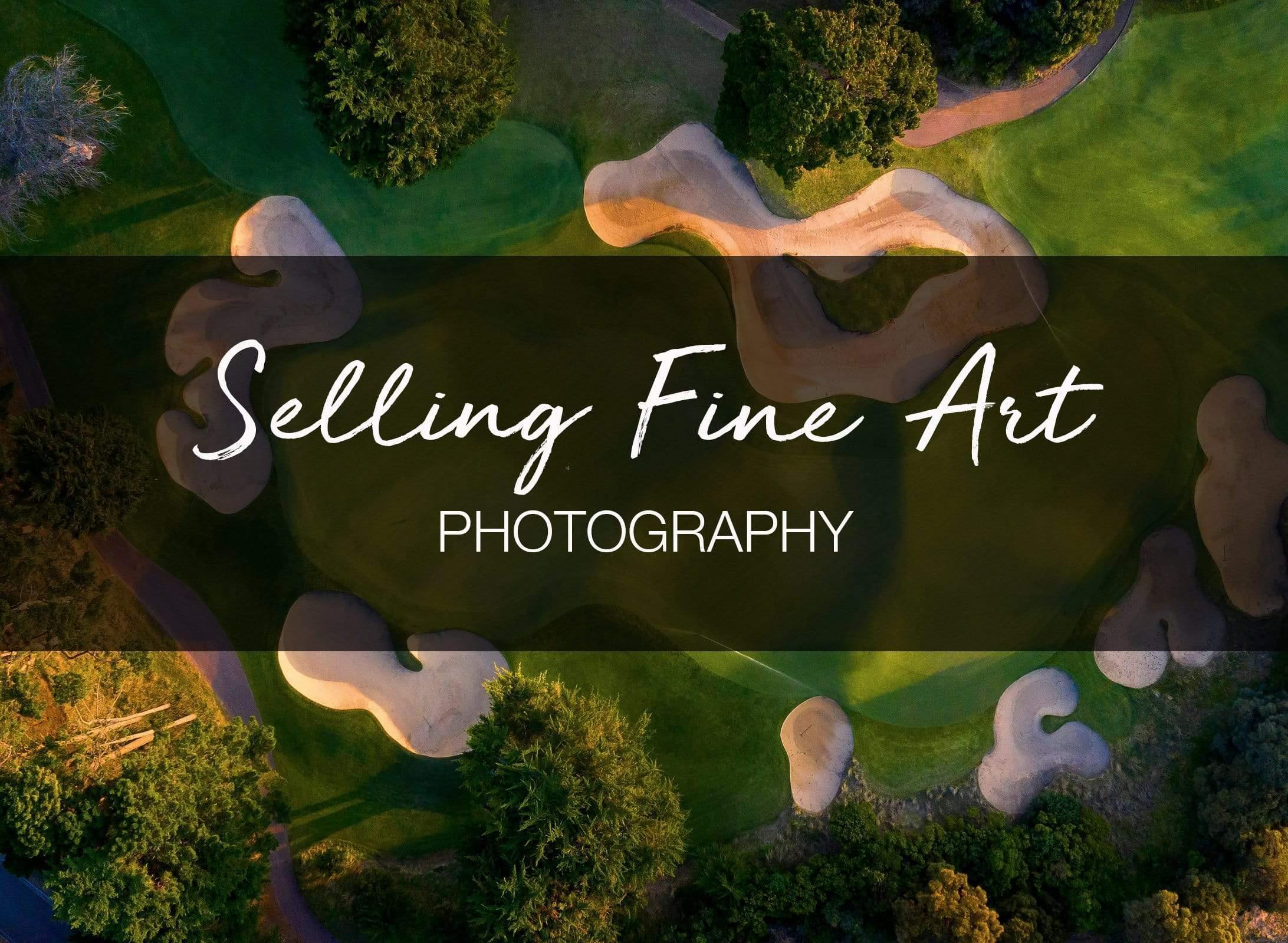 Cover of selling fine arts, Tomputt - GALLERY DISCUSSION with Cath