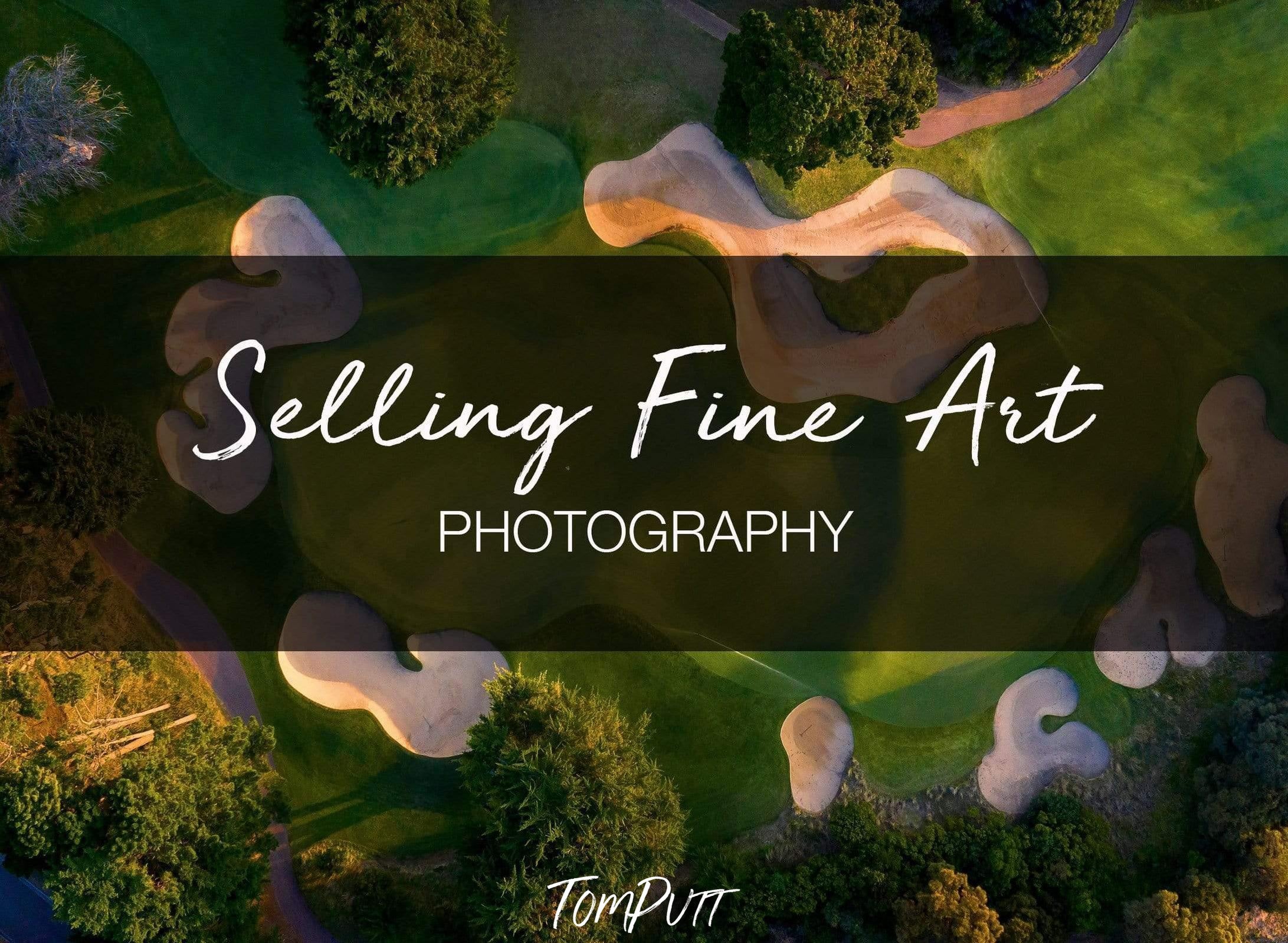 Cover of selling fine arts, Tomputt - GALLERY DISCUSSION with Cath