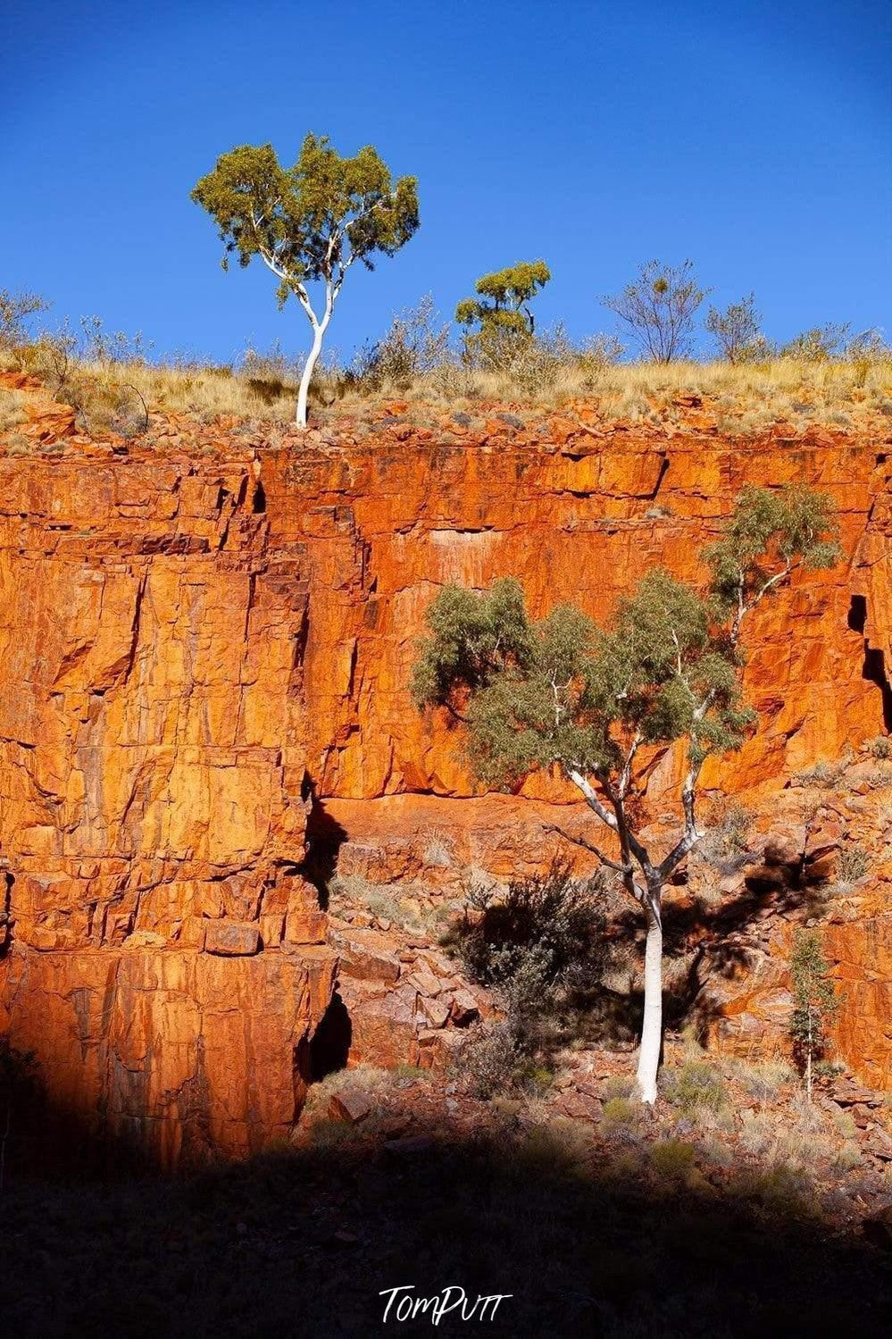 Orange shiny mountain wall with some plants on it, Ghost Gums, Ormiston Gorge - West Macdonnell Ranges, NT