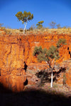 Orange shiny mountain wall with some plants on it, Ghost Gums, Ormiston Gorge - West Macdonnell Ranges, NT