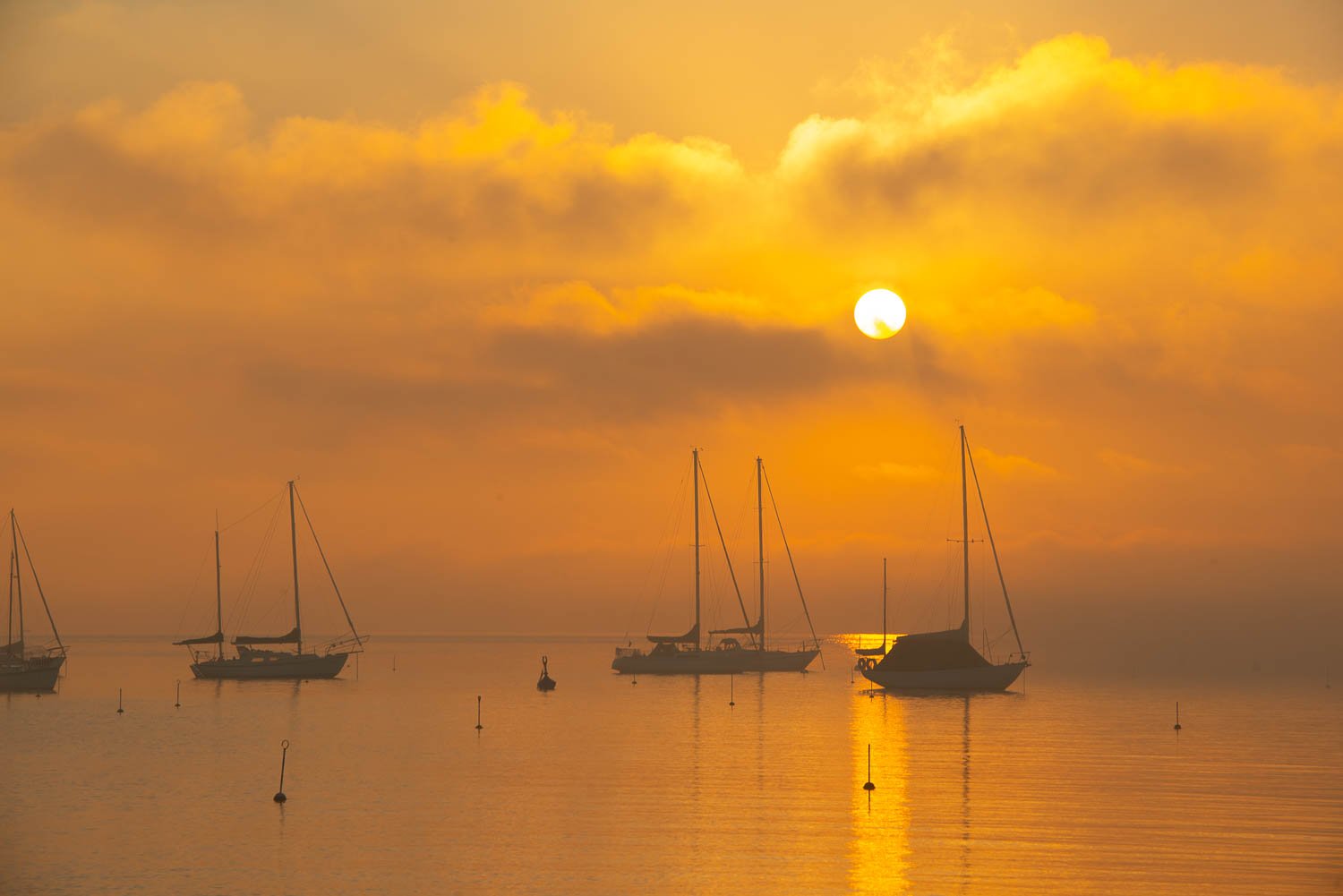 A yellowish sunset effect on a sea with some boats floating in, Golden Glow, Sorrento - Mornington Peninsula
