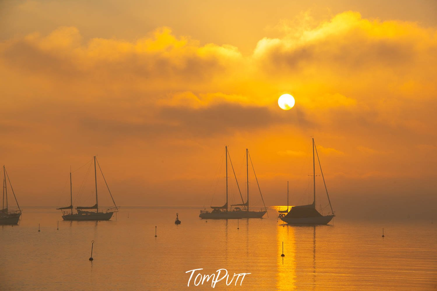 A yellowish sunset effect on a sea with some boats floating in, Golden Glow, Sorrento - Mornington Peninsula